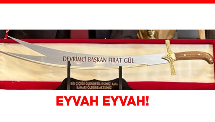 YOK… SEN DEVRİMCİ DEĞİLSİN… ESNAF ODASI BAŞKANI OL YETER!